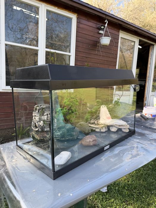 Juwel Acvariu primo 60