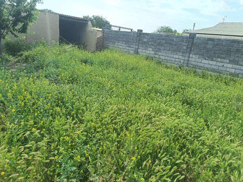 Zomin tumani Gulshan
