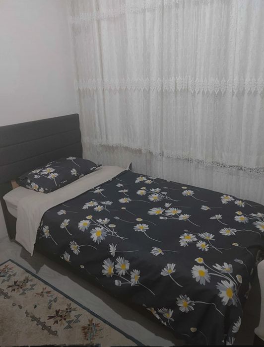 Set lenjerie de pat 1 persoana