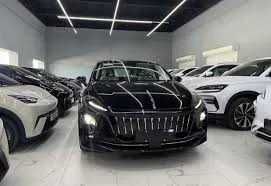 BYD Han L2ta motor pod zakaz