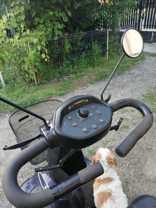 scuter electric carucior electric dizabilitati handicap batrani