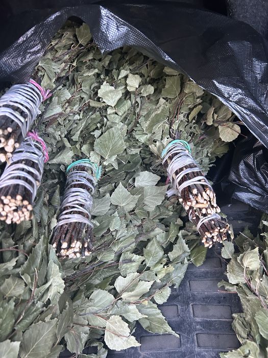 Продам веники для бани