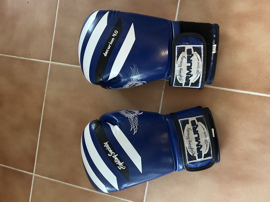 Manuși de box profesionale