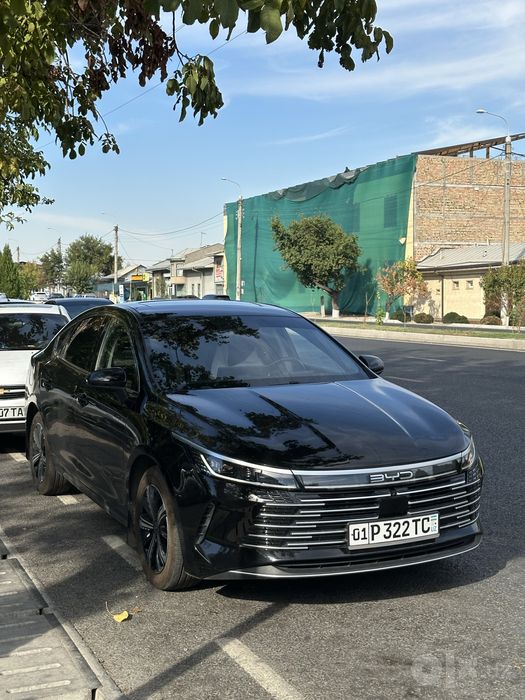BYD Chazor 120 km Flagship