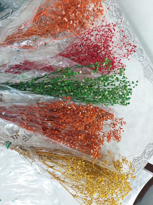 Сухоцветы гипсофила