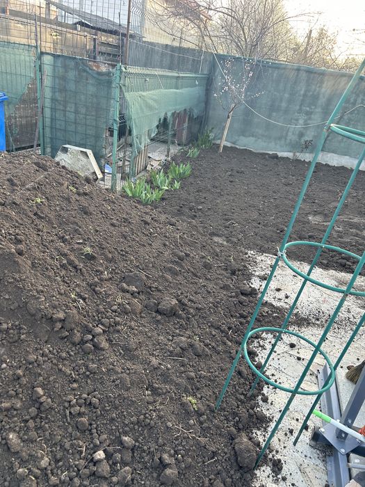 Pamant vegetal/clinceni,domnesti,ciorogarla,teghes,olteni