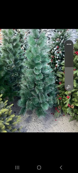 Оптом ёлкалар сатылады