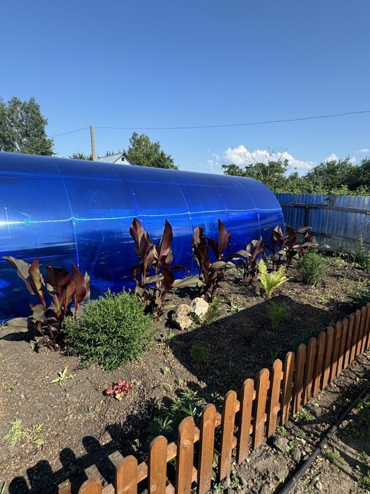 Продам дачу общество Вишенка / Гудок