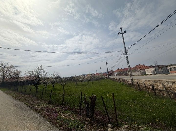 Teren de vanzare