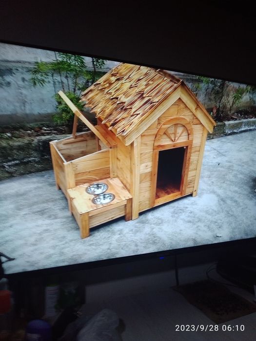 Передержка собак на длительные сроки