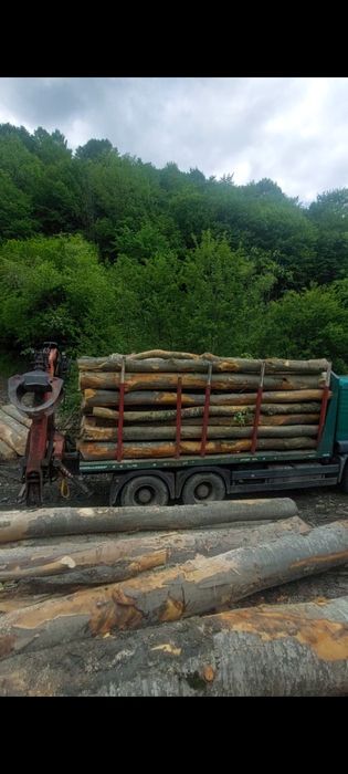 LEMN DE FOC CANTITATI CORECTE LIVRARE rapidă 
Cantități măsurate corec