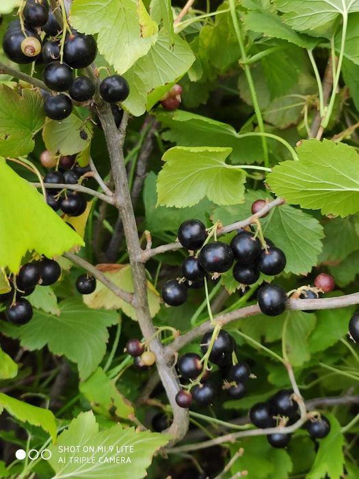 дача на федоровском водохранилище