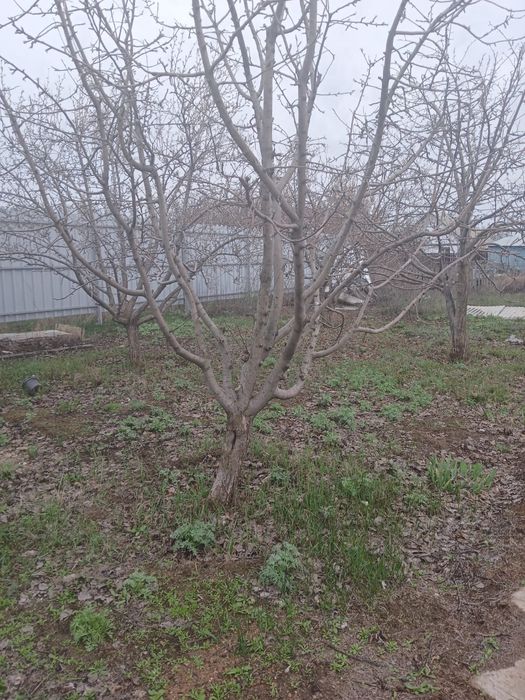 Продам дачный участок