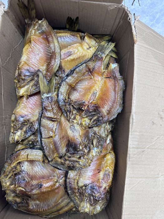 Рыба хк гк вялка