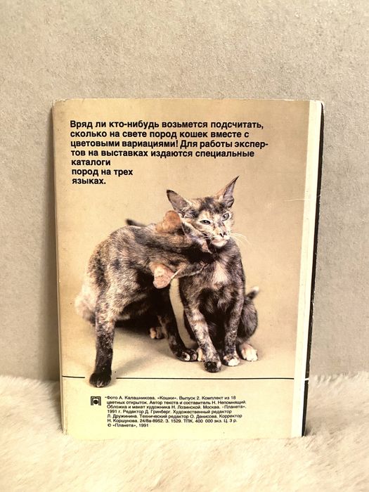 Набор открыток Кошки