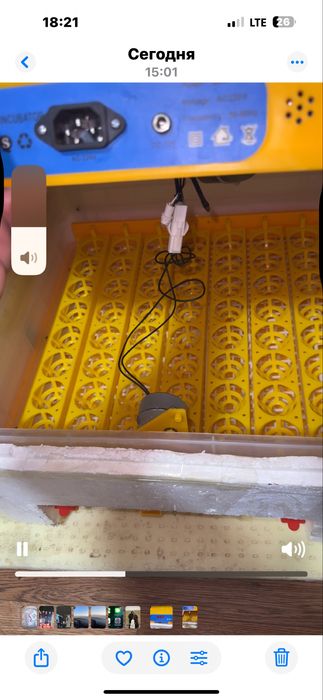 Инкубатор Бизон 56