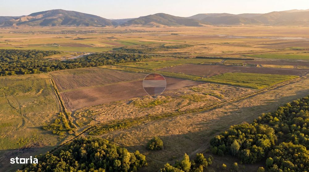 Teren extravilan 44.000 mp (4,4 ha) | Hărman | Comision 0%