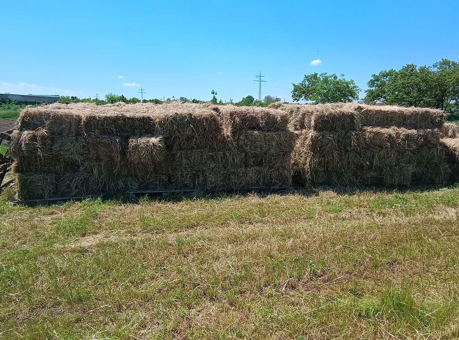 Vând fân de iarbă cu 20% lucernă - baloți dreptunghiulari