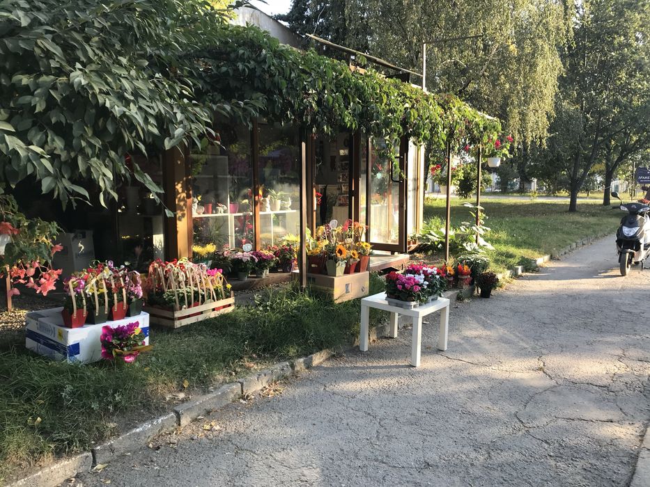Търговско помещение Цветарски магазин