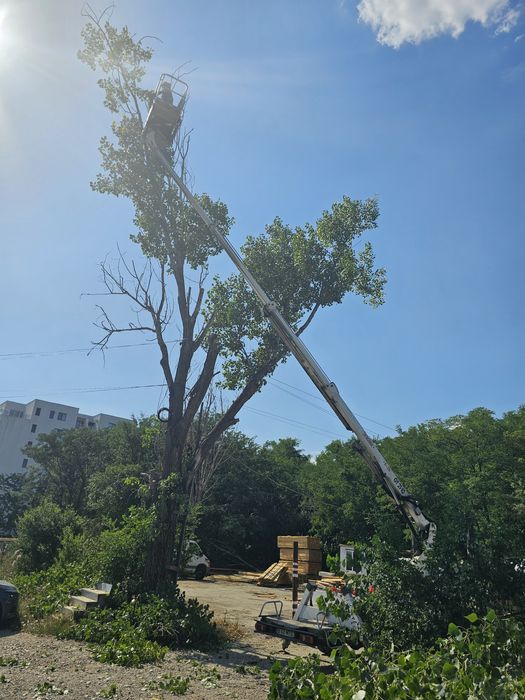 Inchiriez inchiriere nacela prb