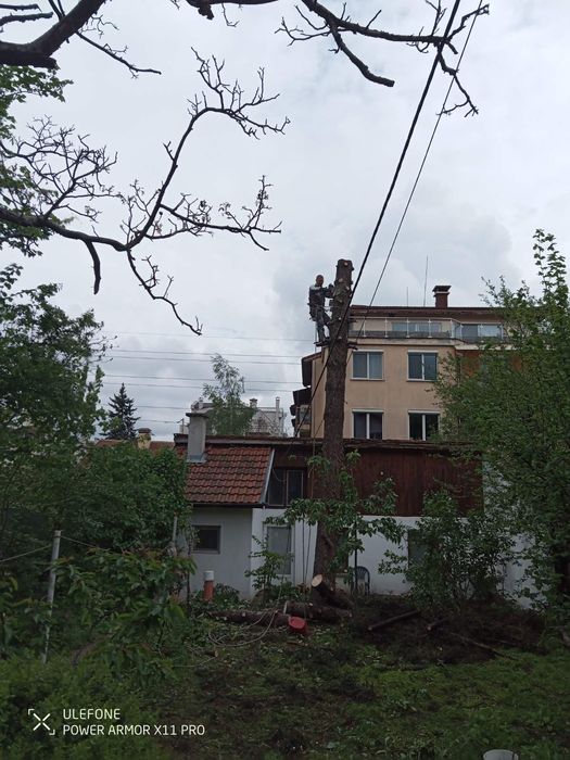 Рязане на дървета, почистване на дворове,косене на трева,поддръжка