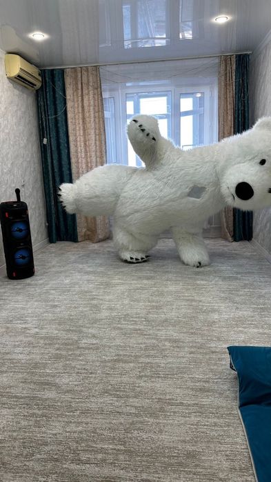 мишка + калонка