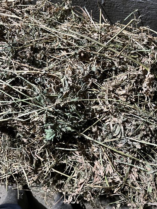 Vand baloti de lucerna/ luțerna