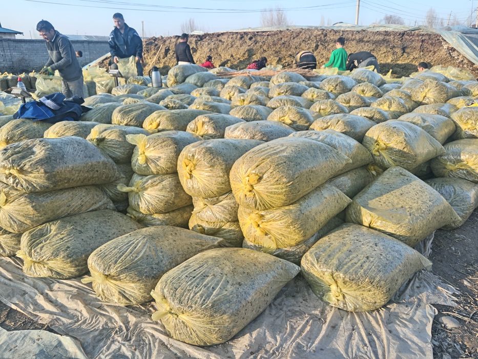 Donlik silos sotiladi 17 mingdan