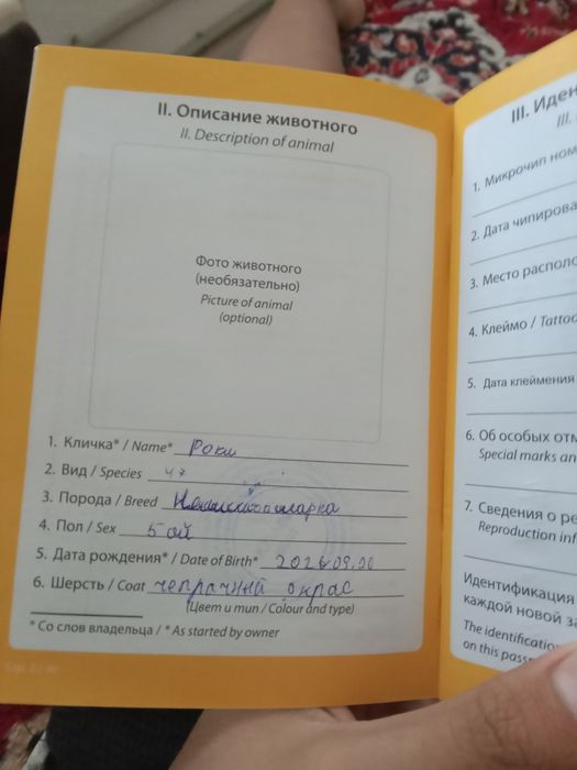 Продам немецкий овчарка