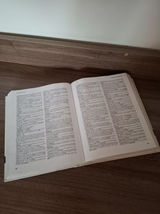 Dictionar explicativ