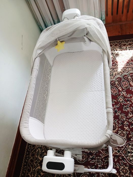 Tebranadigan beshik (belanchak)