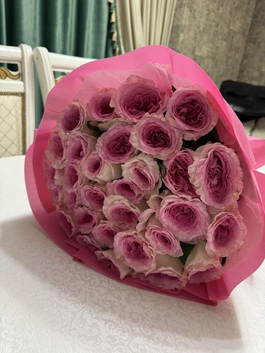 розовые розы 31 шт