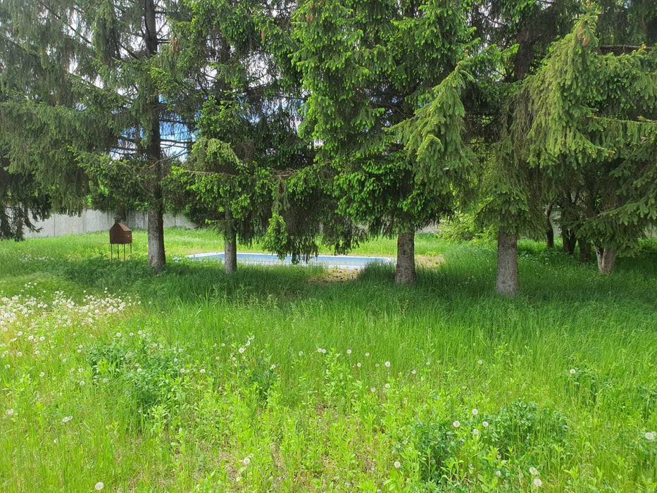 Ferma de vanzare,parc logistic 55000 mp FILIPESTI E85 ,15 KM DE BACAU