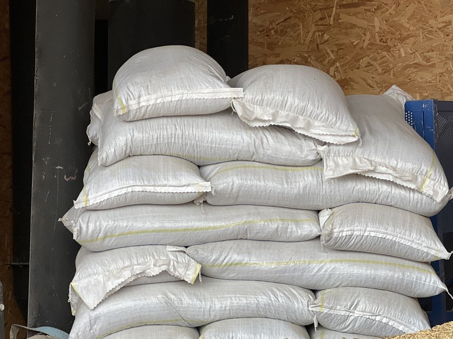 Vand floarea soarelui