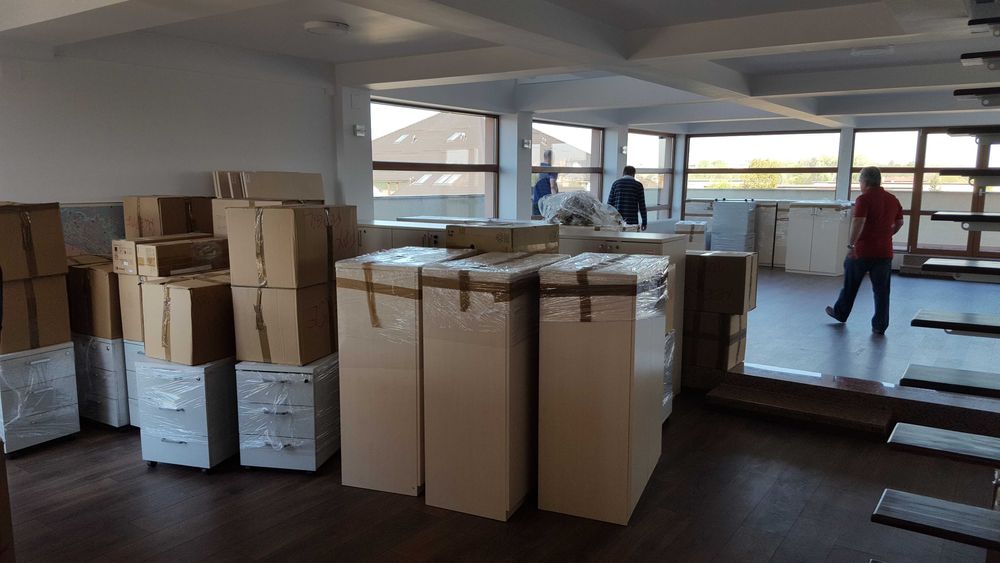 Mutari Profesionale Constanta