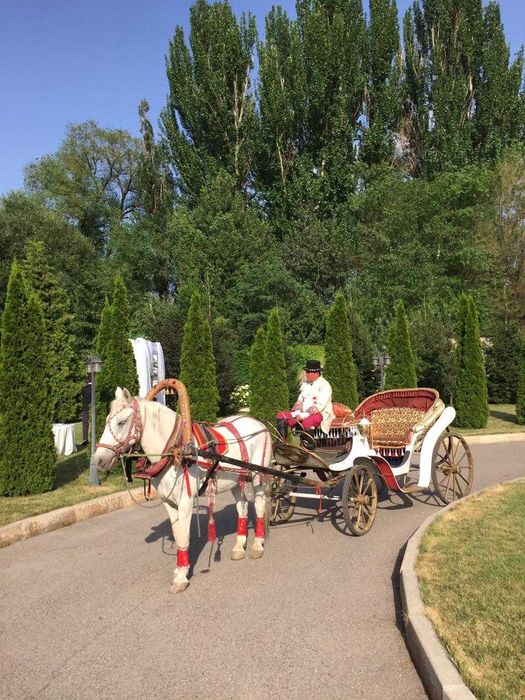 карета, фаэтоны "Золушка" "Диана"