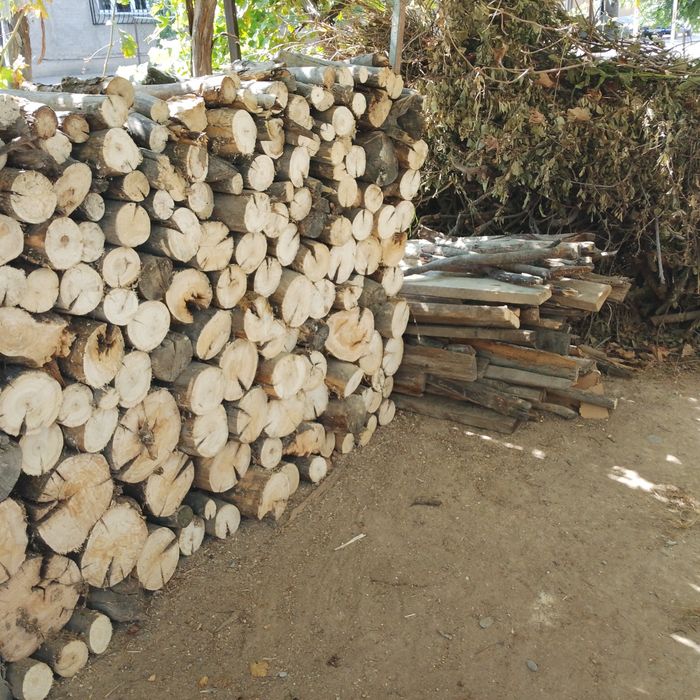 Утин дрова кесилган сотилади