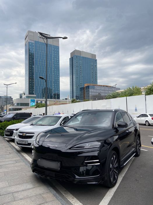 Byd champion restyling