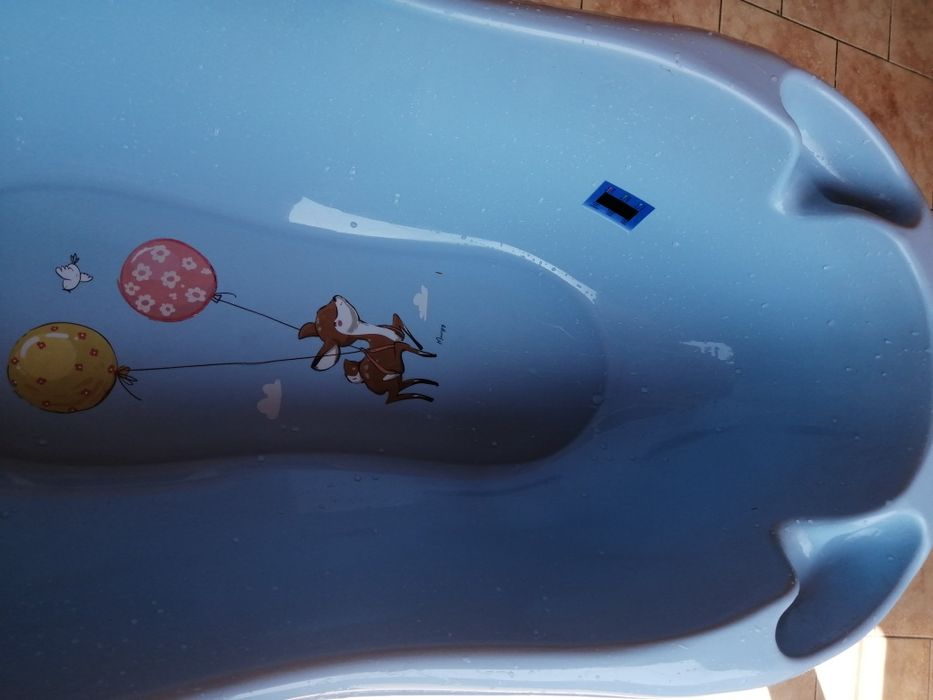 Cădiță Nou Nascut