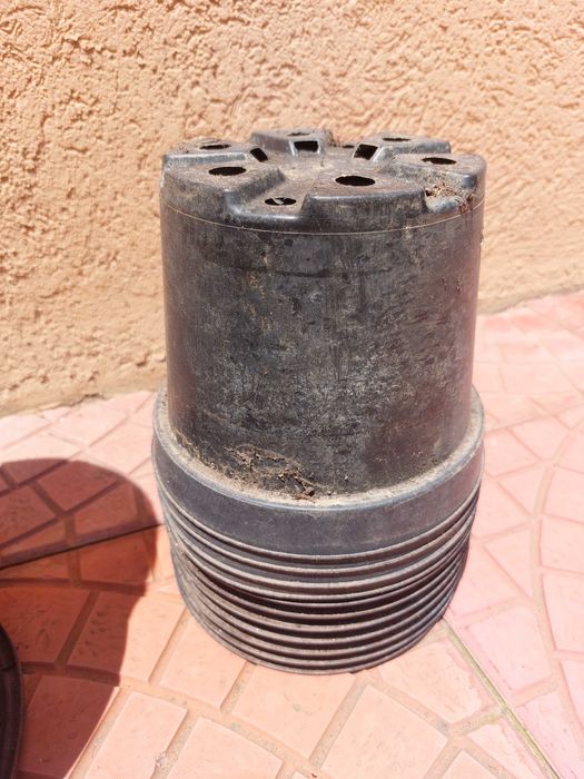 саксии за щветя и растения