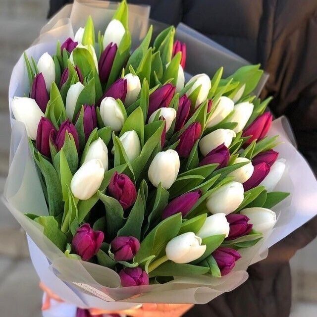 Тюльпан упаковка + открытки