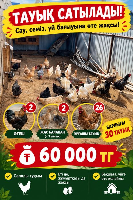 Продам оптом 30птиц за 60000тг