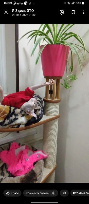 Уйча сотилади.Деярли янги.