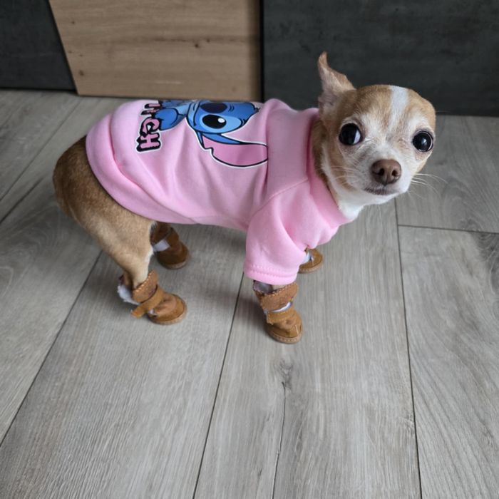 Обувки за малко куче - Чихуахуа