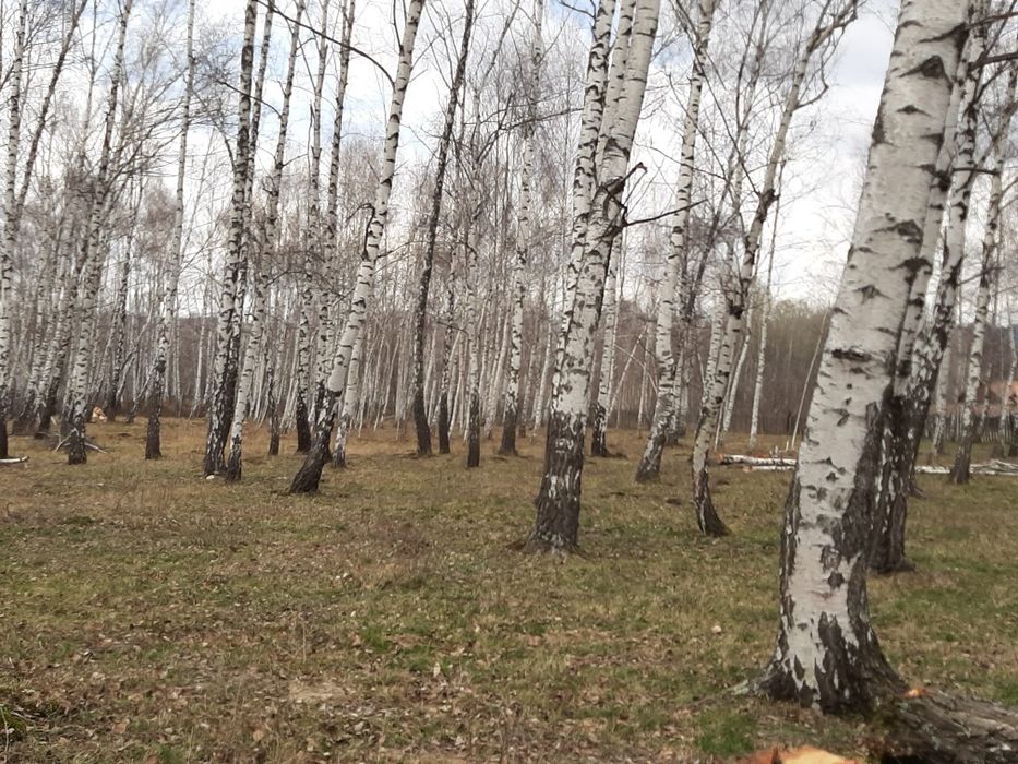 Vânzare teren intravilan