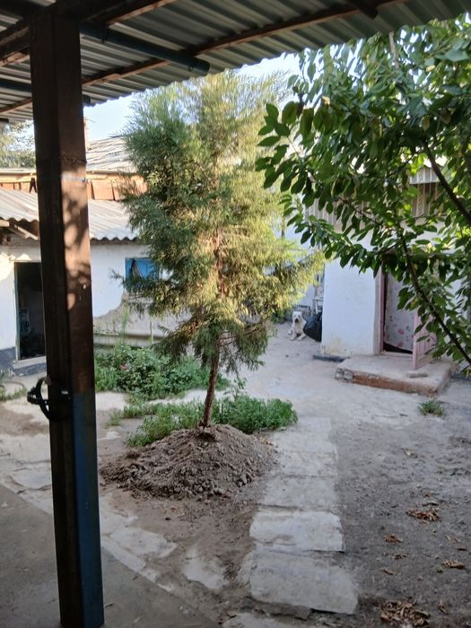 Дом 2 сотки 3 комнаты