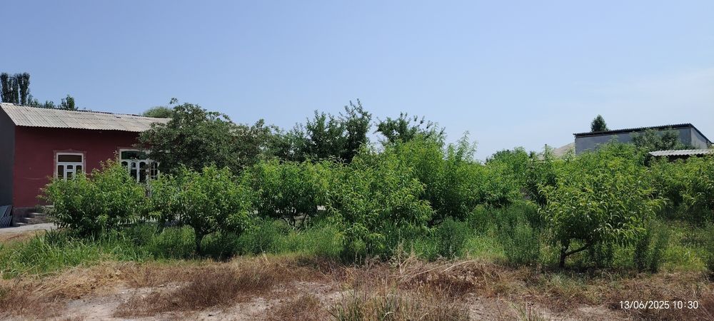 Чек сотилади 10сотик