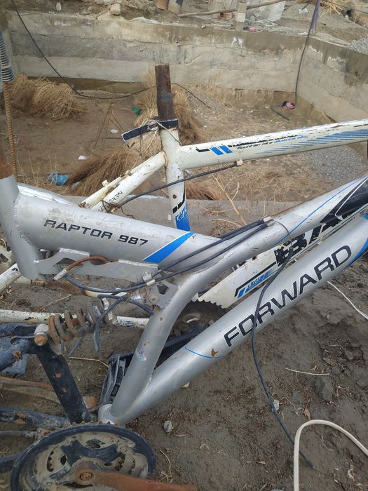 Ikita germanske velaspetlar