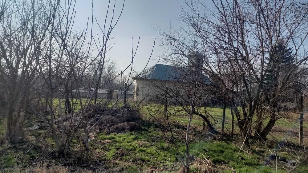 Teren Darvari-Tamadau Mare