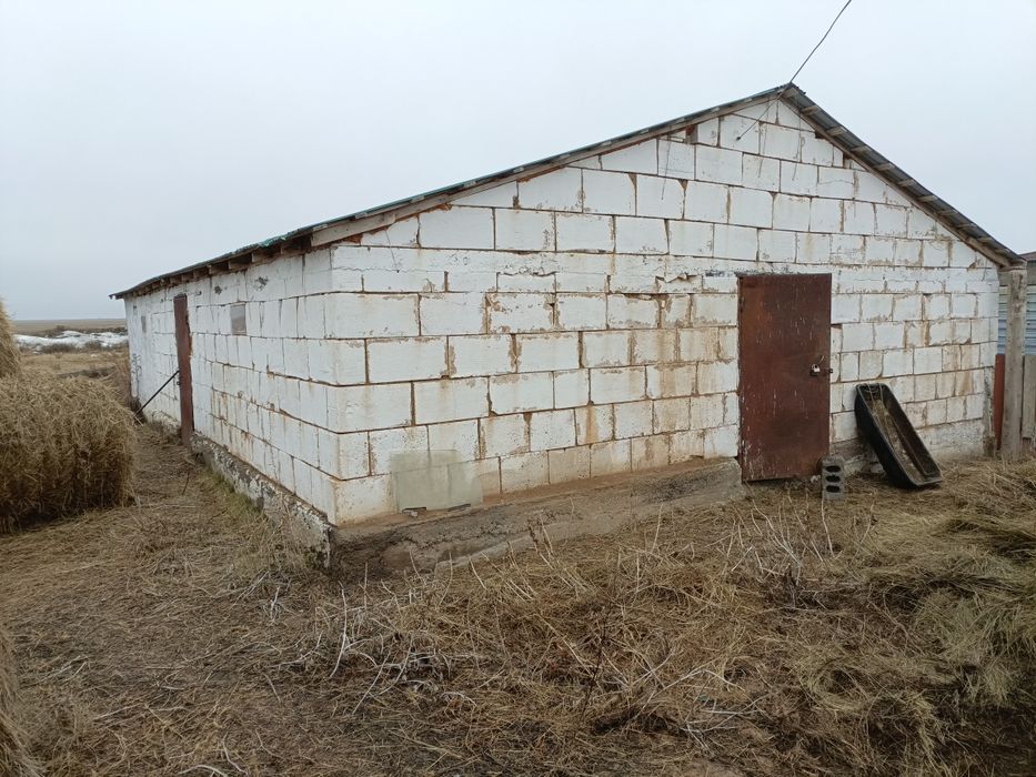 Срочно продам дом с хозяйством